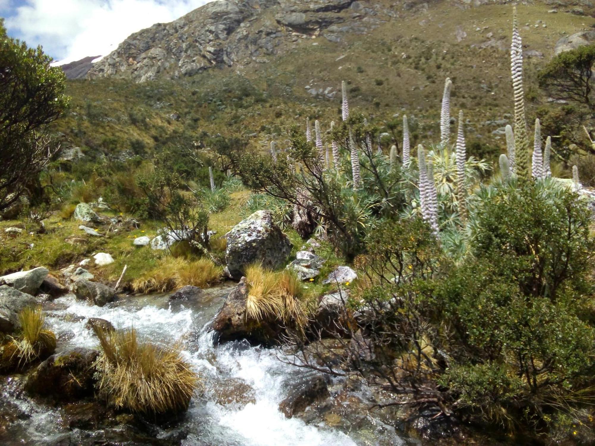 Amazing Huaraz Bed and Breakfast Εξωτερικό φωτογραφία