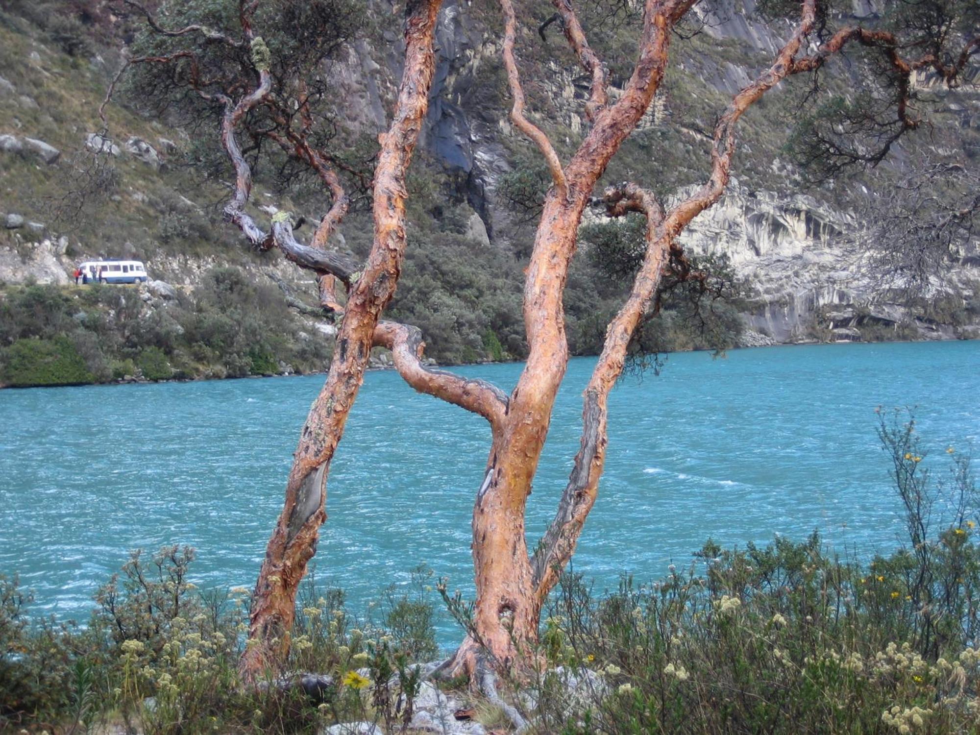 Amazing Huaraz Bed and Breakfast Εξωτερικό φωτογραφία